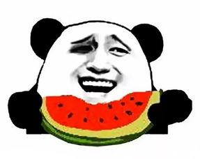 娱乐吃瓜酱生日文案搞笑,娱乐吃瓜酱生日文案搞笑大集合