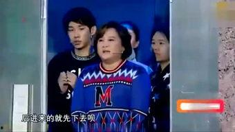 娱乐综艺吃瓜仔小说,吃瓜仔的逆袭之路