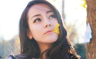 娱乐圈吃瓜明星小说推荐,吃瓜明星的逆袭之路