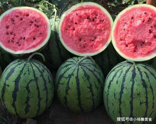 吃瓜娱乐如果星星不说话,娱乐圈八卦背后的真实故事