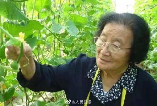 吃瓜娱乐如果星星不说话,娱乐圈八卦背后的真实故事